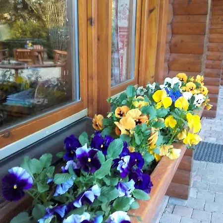 Chalet Le Paradou Guest house *