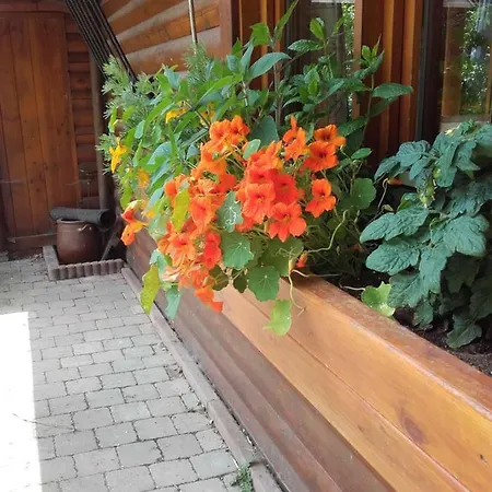 Chalet Le Paradou *